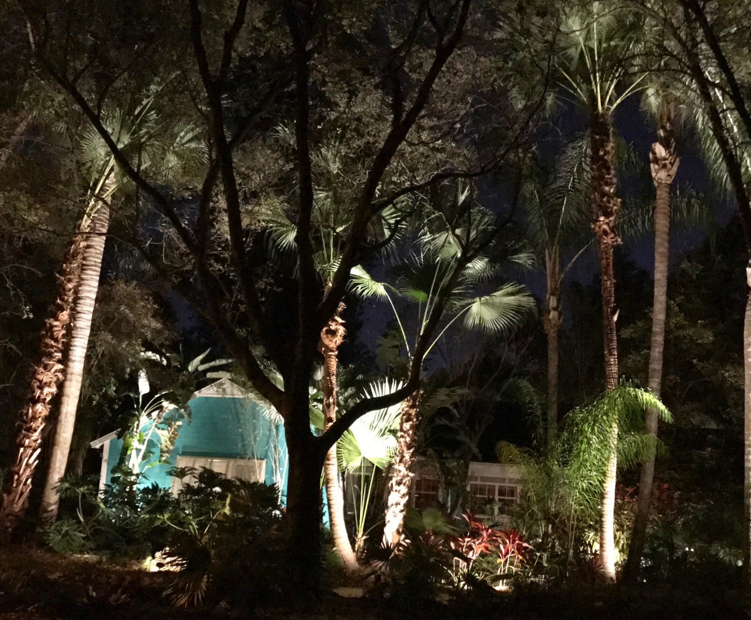 Winter park Outdoor lighting design