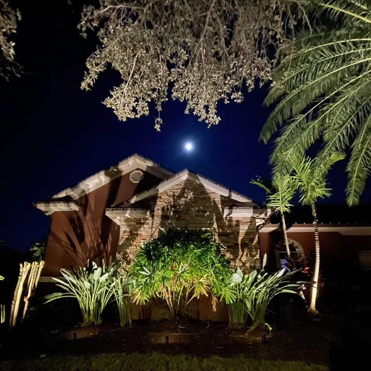 Landscape lighting by Southern Outdoor Lighting enhancing the beauty and safety of a Florida home's backyard at night.