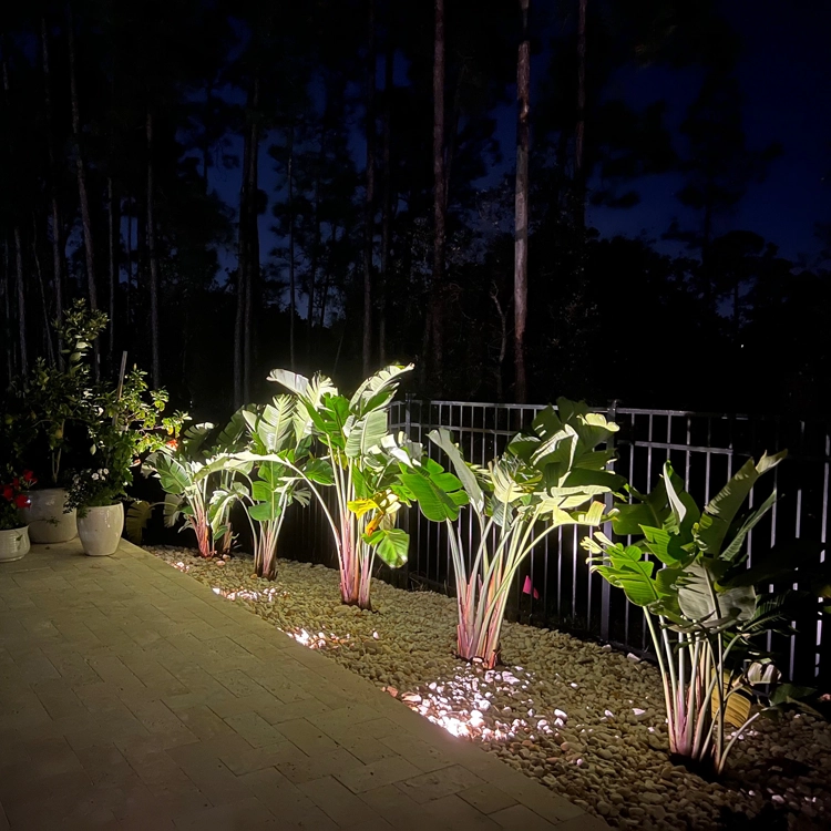 Pathway and landscape lighting illuminating a Central Florida backyard for enhanced safety at night, installed by Southern Outdoor Lighting.