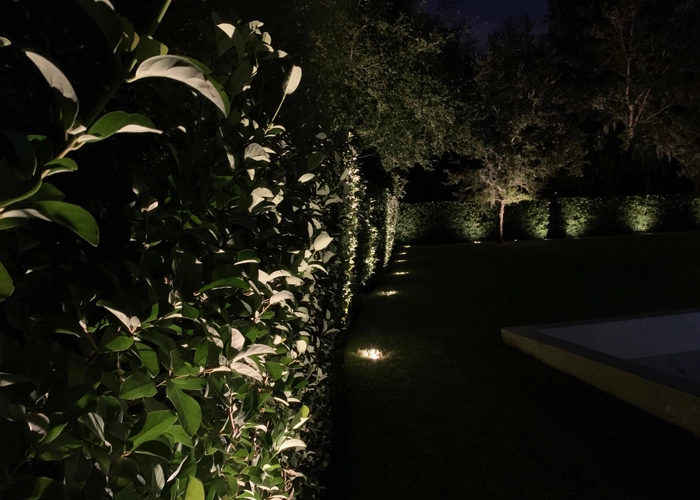 Hedge with professional outdoor lighting design, creating a well-lit garden pathway.