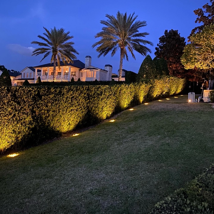 Landscape lighting by Southern Outdoor Lighting highlighting a neatly trimmed hedge in a Central Florida backyard at night.