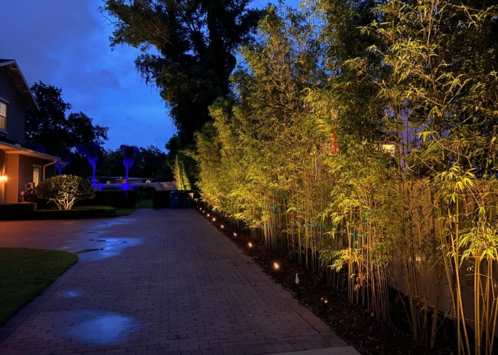 Tall hedge with professional outdoor lighting design by Southern Outdoor Lighting, creating a well-lit and private backyard setting.