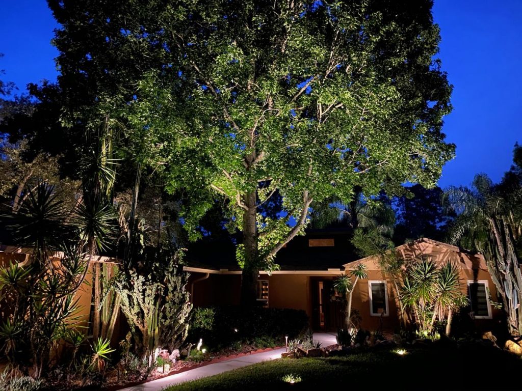 Professional outdoor lighting in FL