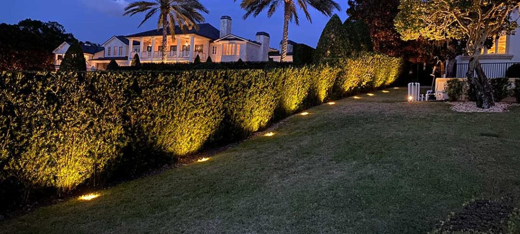 Recessed uplighting illuminates the hedges in this backyard.
