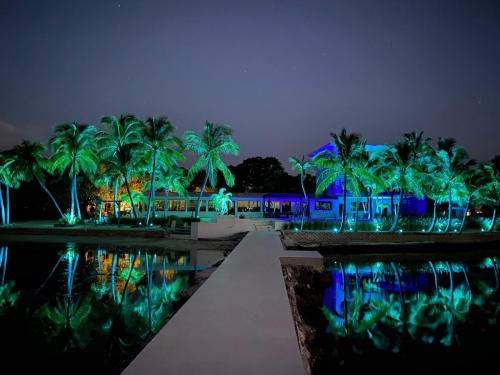Orlando Landscaping & Lighting at Marathon