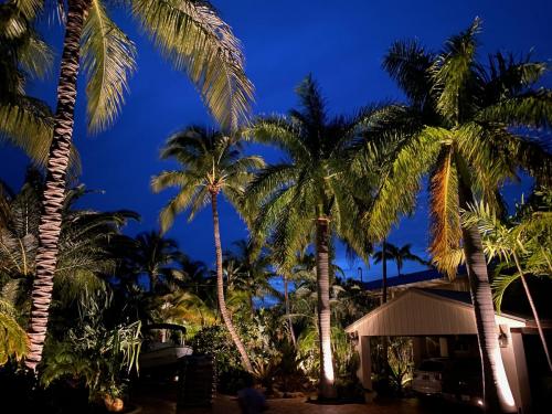 Orlando Landscaping & Lighting at Summerland Key