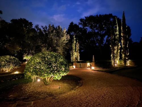 Orlando Landscaping & Lighting at Lake Wales