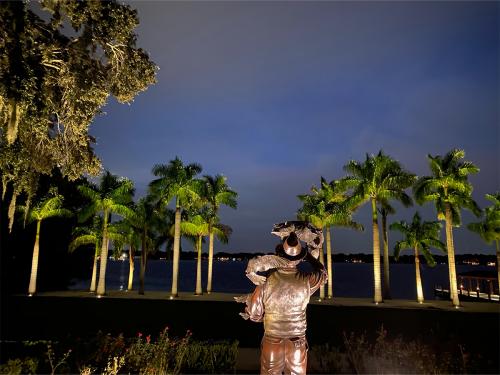 Outdoor Lighting Contractors FL in Belle Isle