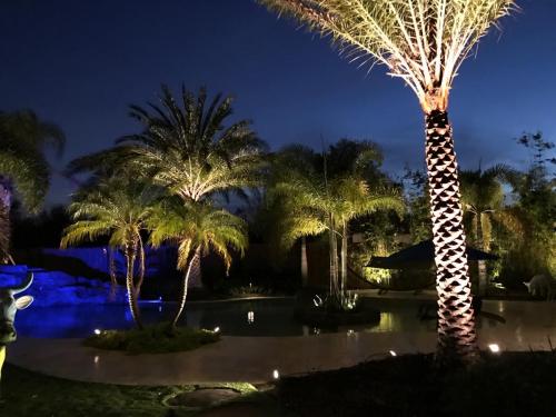 Outdoor Lighting in Florida Lake Sue